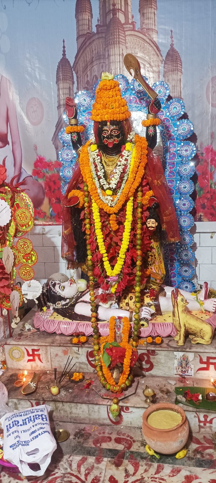 WhatsApp Image 2025-08-02 at 12.01.29 PM